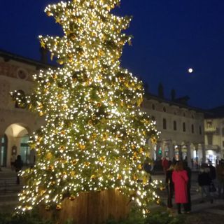 - FOTONOTIZIA - Vigevano: acceso l'Albero di Natale in piazza Ducale