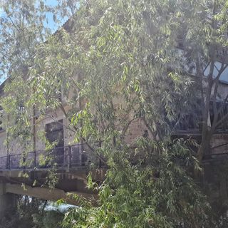 Tour “Pavia d’Acqua”