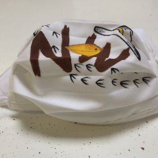 Il canarino “Nelson Whitman” porta le sue mascherine ai bambini del San Matteo di Pavia