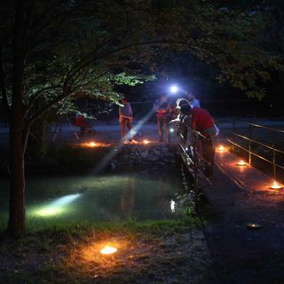 Al parco ittico “Paradiso” torna protagonista il bagliore delle lucciole, due appuntamenti per ammirare lo spettacolo serale