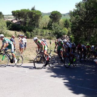 Tutto pronto per la “Freccia dei vini”, classica del ciclismo lomellino, pavese ed oltrepadano giunta alla 48esima edizione