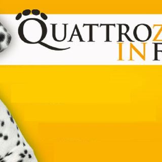 Arriva a Milano Quattrozampeinfiera tra sport e pet therapy