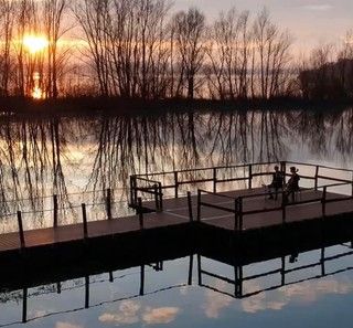 VIDEO. Due giovani musicisti varesini ricordano Morricone: magia e melodia sul lago di Varese
