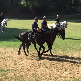 Oltrepo: controlli straordinari a Salice Terme effettuati dai Carabinieri a cavallo