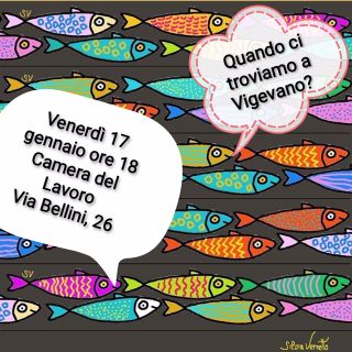 Vigevano, le Sardine lomelline si incontrano nella città ducale in vista della manifestazione di Pavia