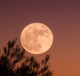 E' la sera della super luna: ecco come e quando ammirarla