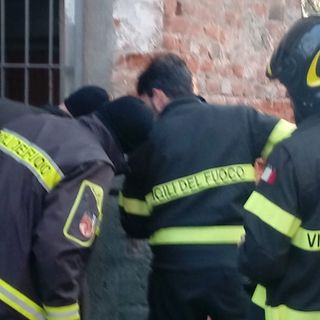 Novi Ligure: incastrato tra le sbarre al Castello, gatto salvato da vigili del fuoco e volontari