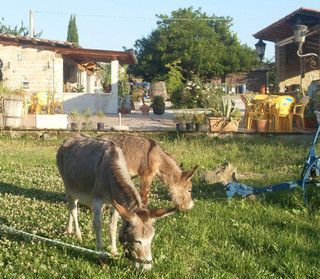 Fase 2, agriturismi: «Ecco il protocollo salva vacanze»