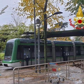 Maltempo anche a Milano: pianta crolla su un tram