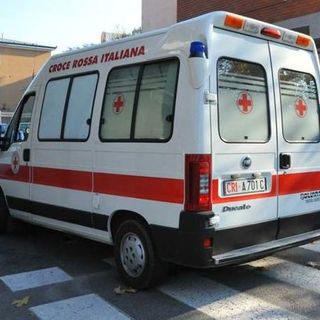 Rosasco: Muore nel bosco schiacciato da un ramo di pioppo