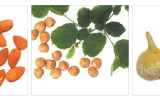 Gambolò, Museo Archeologico Lomellino: aperitivo preistorico e apertura straordinaria per la 20° Sagra del Fagiolo Borlotto