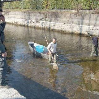 Navigli e Asciutta: recuperati oltre 36 quintali di pesce