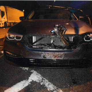 Automobilista pavese investe un cerbiatto in autostrada a Reggio Emilia, vivo per miracolo ma danni alla vettura per 7.500 euro