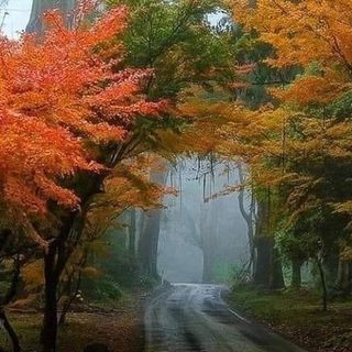 La splendida foto postata dalla pagina Facebook NaturalMeteo per salutare l'inizio dell'autunno