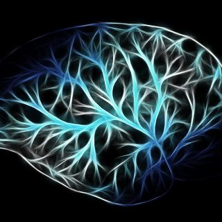 Vigevano: Settimana del Cervello, Quanto la tecnologia ed i suoi strumenti vanno ad influire sulle capacità cognitive?