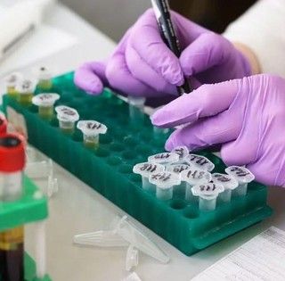 Coronavirus, i dati di Regione Lombardia: in provincia di Pavia 296 i contagi totali