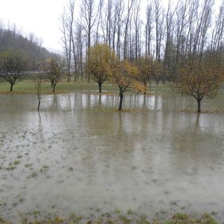 Maltempo, Lombardia: sos campi allagati  con -50% semine e piantine affogate