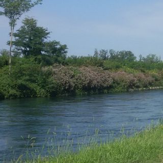 Bernate Ticino, ragazzi si tuffano nel Naviglio Grande dal ponte della Tav