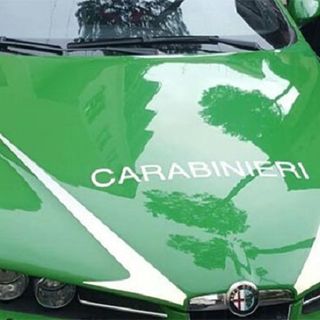 Carabinieri Forestali scovano una discarica abusiva, al suo interno detenute 6 tartarughe. Denunciato un novarese