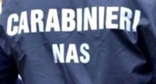 Blitz dei Nas in un ristorante pavese, scatta una multa da 47mila euro