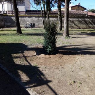 Gropello, il parco di Villa Cairoli messo in sicurezza e sistemato dopo la tempesta di vento di una decina di giorni fa