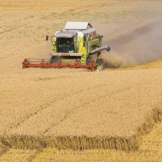 Imprese, ok credito agevolato per agricoltori. Snellire procedure contro burocrazia inutile