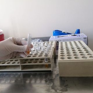 Coronavirus: un caso anche a Palermo e Firenze. In Lombardia 206 contagi. Nel sud di Tenerife 1000 in quarantena in hotel dopo l'italiano trovato positivo