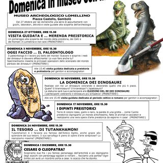 Gambolò, arriva la domenica al Museo!