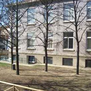 Vigevano: i progetti delle scuole primarie De Amicis e Botto alla vigilia degli open day, previsti al 14 dicembre