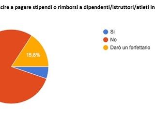 FARE SQUADRA. Sport in ginocchio: compensi da pagare e redditi azzerati. Si pensa a ripartire dal settore giovanile. I dati dell'inchiesta