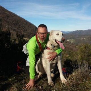 Gambolò, il Museo Archeologico Lomellino online con due racconti medievali