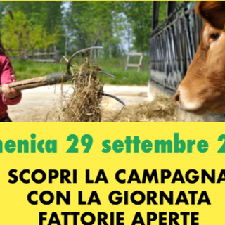 Dalla visita in miniera al teatro nel bosco arriva l’open day delle fattorie lombarde