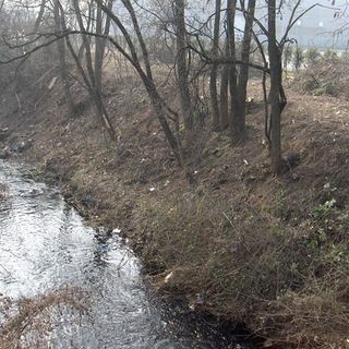 foto generica di repertorio