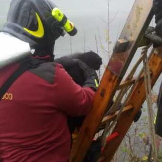 Robecco: gattino intrappolato nel Naviglio salvato dai Vigili del Fuoco