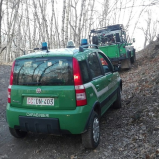 Colta sul fatto mentre incendia il bosco: piromane in carcere a Vercelli