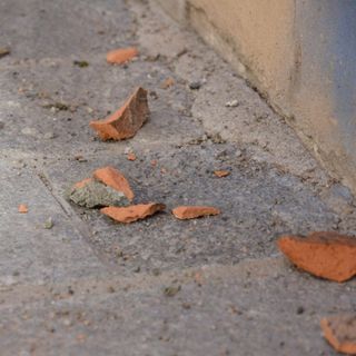 Vigevano: paura nei giorni scorsi per il vento in Lomellina, cadono tegole e alberi