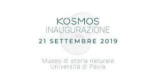 Domani verrà inaugurato Kosmos, il museo di storia naturale dell'università di Pavia
