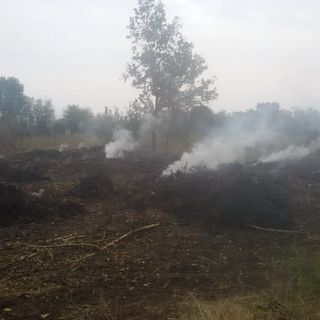 Corbetta: terreno agricolo in fiamme nella notte, è un incendio doloso