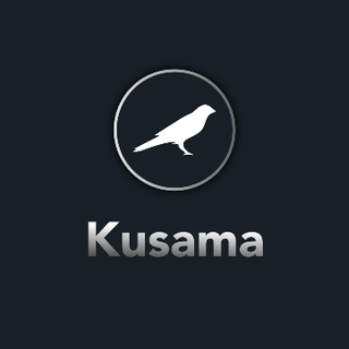Perché scoprire Kusama Crypto? Semplicemente perché conviene!