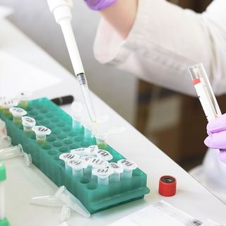 Uno studio riscrive la storia della pandemia: «Il Coronavirus circolava in Italia già a settembre 2019»