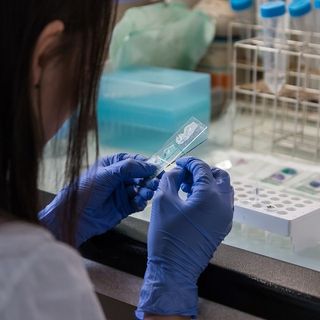 Coronavirus, in Italia oggi 15.204 nuovi positivi e 467 vittime. Il Veneto la regione più colpita