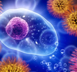 A Novara un progetto di ricerca senza precedenti sulle malattie autoimmuni