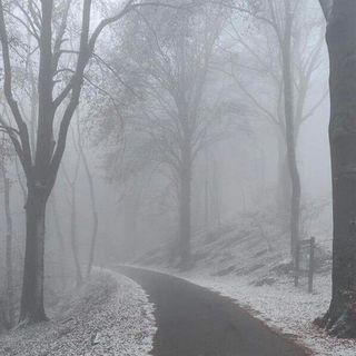 FOTO. Atmosfere magiche nel Varesotto. La prima neve della stagione imbianca il Campo dei Fiori