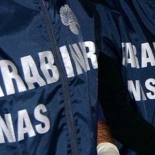 Traffico di “ormone della crescita” Carabinieri Nas di Milano: 6 arresti e 53 indagati