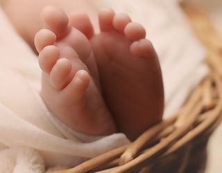 Voghera si illumina di viola per la Giornata Mondiale della Prematurità
