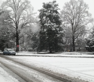 Vercelli: neve su città e provincia