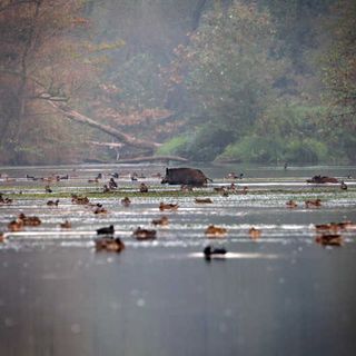 La Grande Bellezza.. dell’Est Ticino