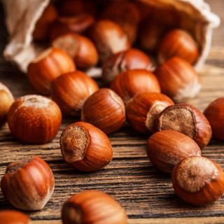 In Lombardia 294 aziende agricole coltivano la nocciola, la provincia di Pavia è leader del settore