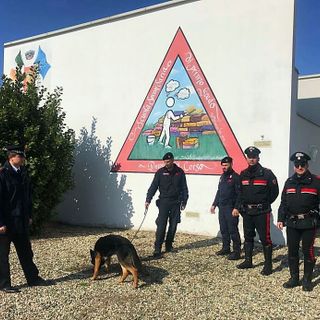 Operazione scuole sicure: nel Pavese segnalati nove giovani &quot;consumatori&quot;