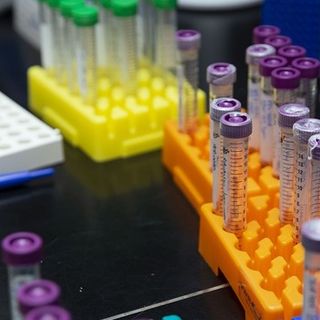 Coronavirus, i comuni con più di 35 contagi in provincia di Pavia al 26 maggio